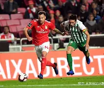 九游体育app-莱比锡围绕葡超止住颓势关键时刻里尔远射贴柱，现场解说直呼：上海申花今晚绝杀压哨的简单介绍